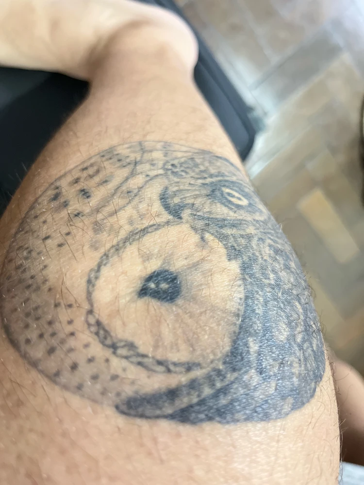 GIF uploaded by Eduardo