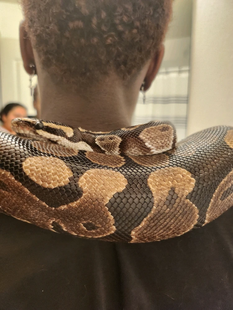 Image uploaded by Tyana