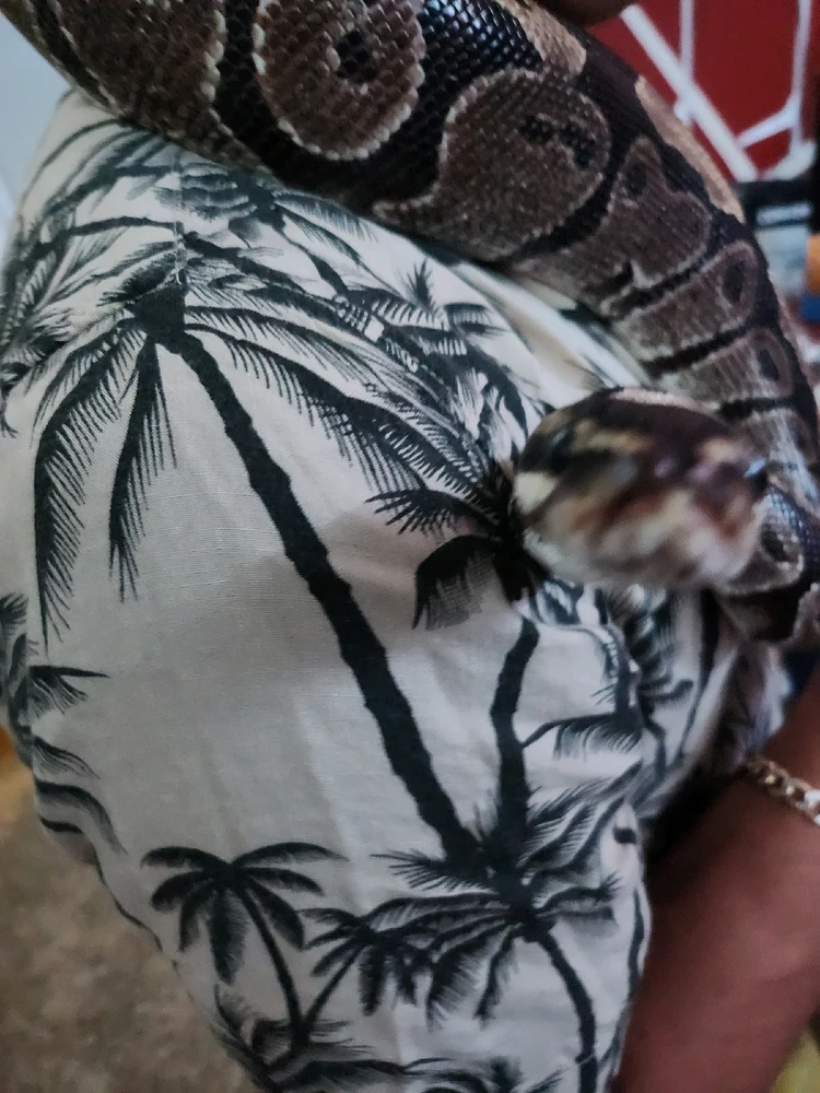 Image uploaded by Tyana