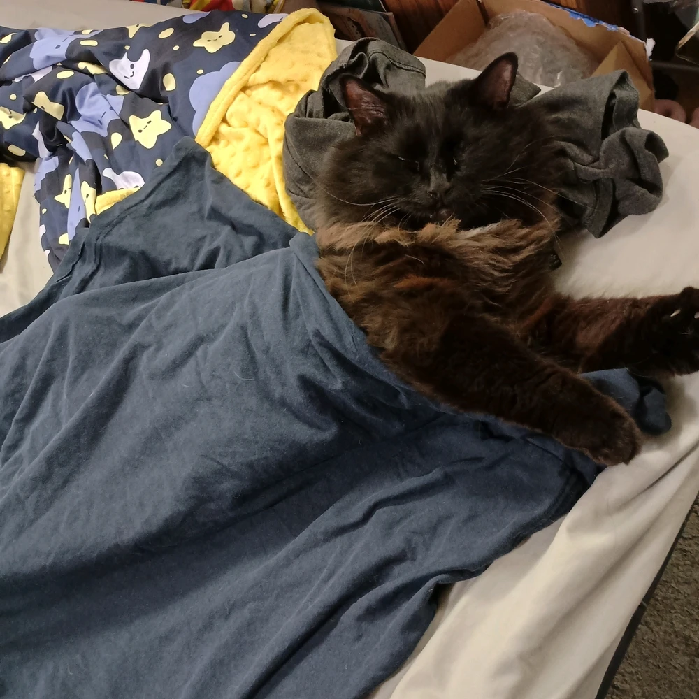 GIF uploaded by Renee