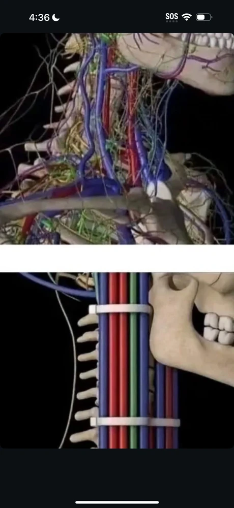 GIF uploaded by Baylee