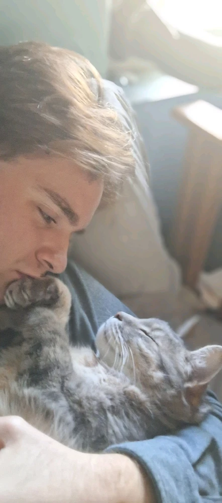 GIF uploaded by Collin