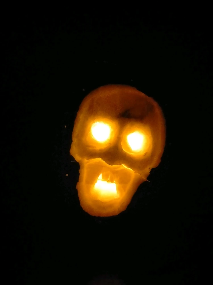 Image uploaded by Daniel