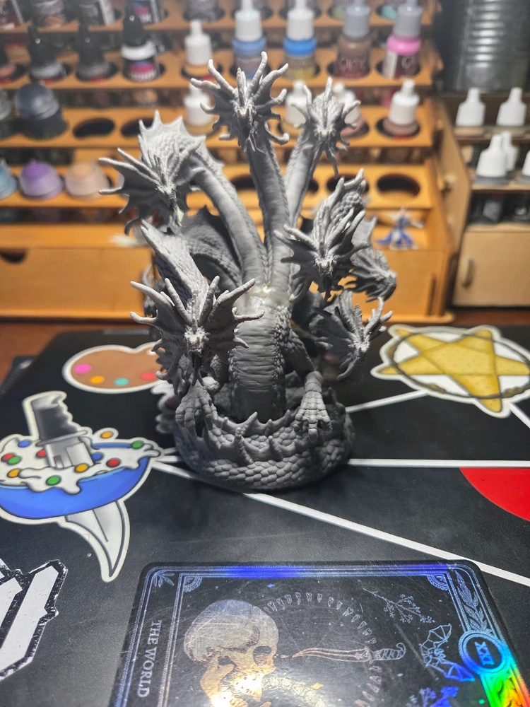 Image uploaded by Leo