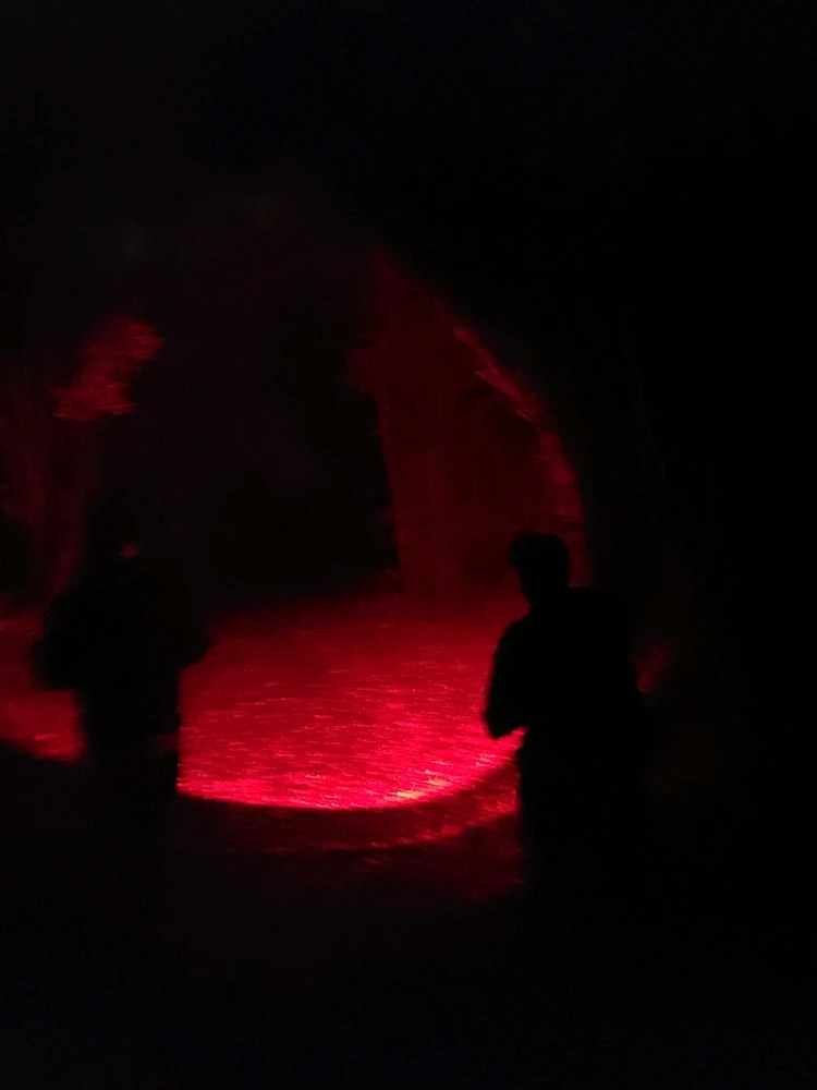 GIF uploaded by Tommy