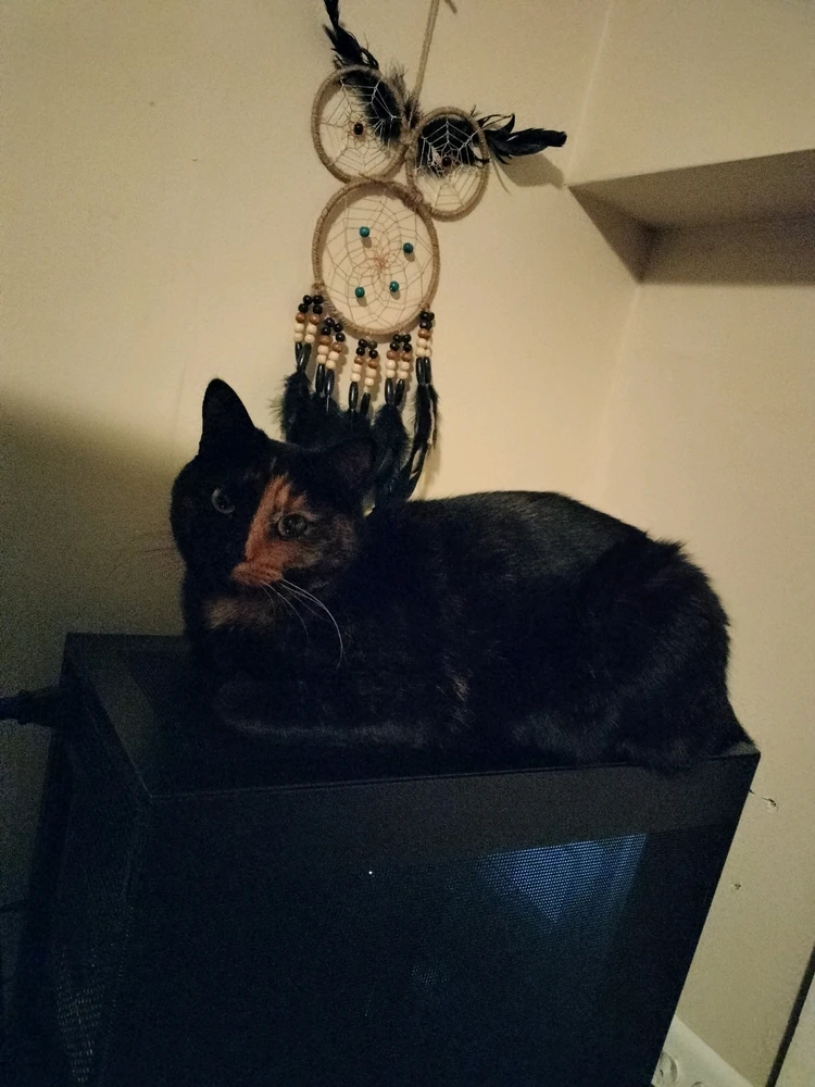 GIF uploaded by Anthony