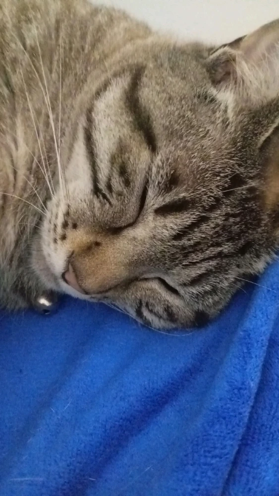 GIF uploaded by John