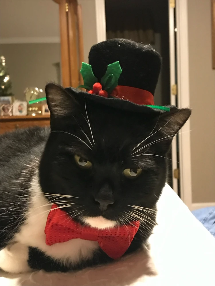 GIF uploaded by Allison