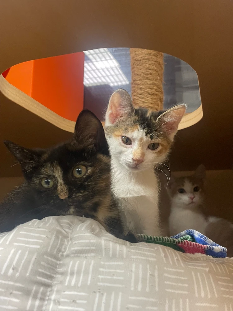 Image uploaded by Robbie