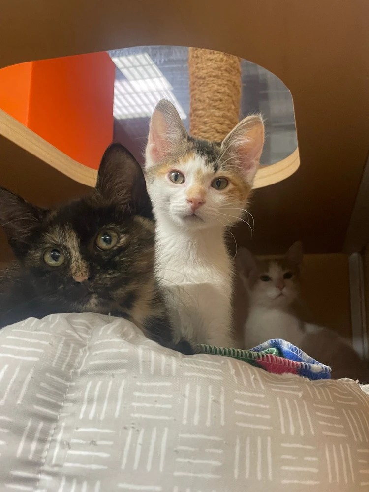 Image uploaded by Robbie