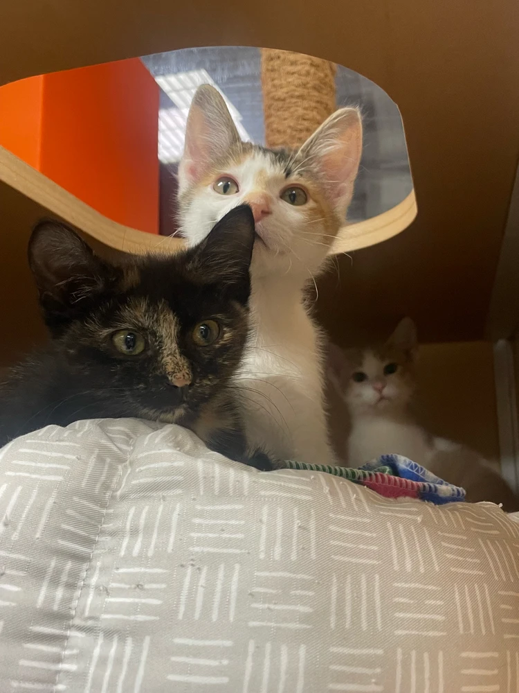 Image uploaded by Robbie