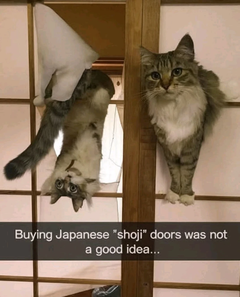 GIF uploaded by Luiz