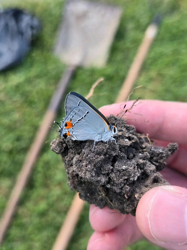 GIF diunggah dening Jonathan