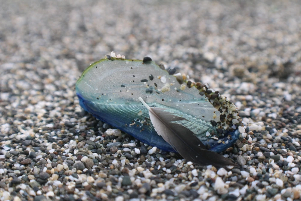 GIF uploaded by Deke Smith