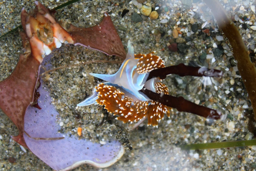 GIF uploaded by Deke Smith