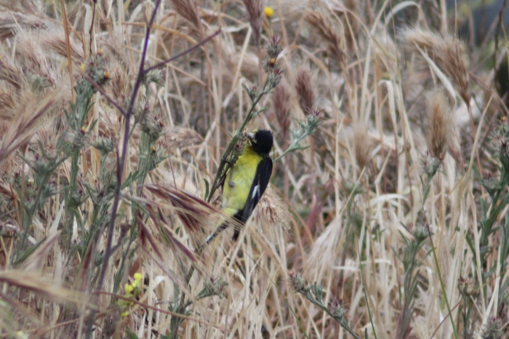 Image uploaded by Deke Smith