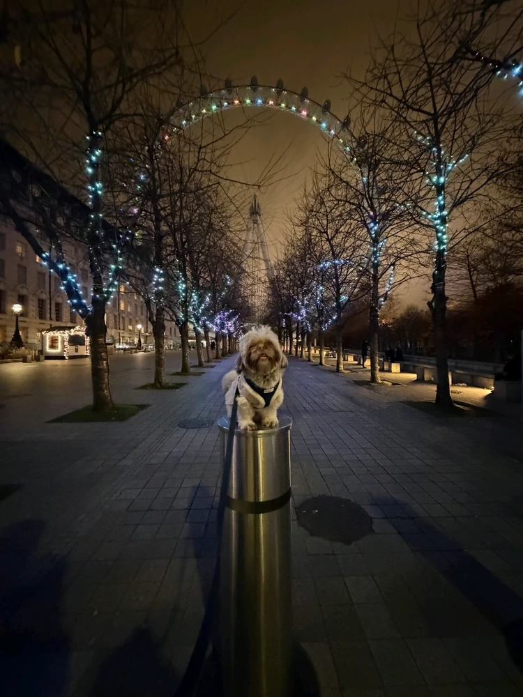 GIF uploaded by Ronnie