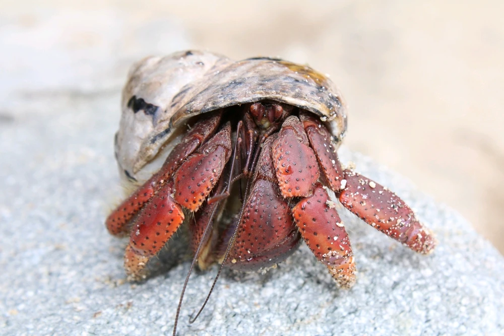 GIF uploaded by Deke Smith