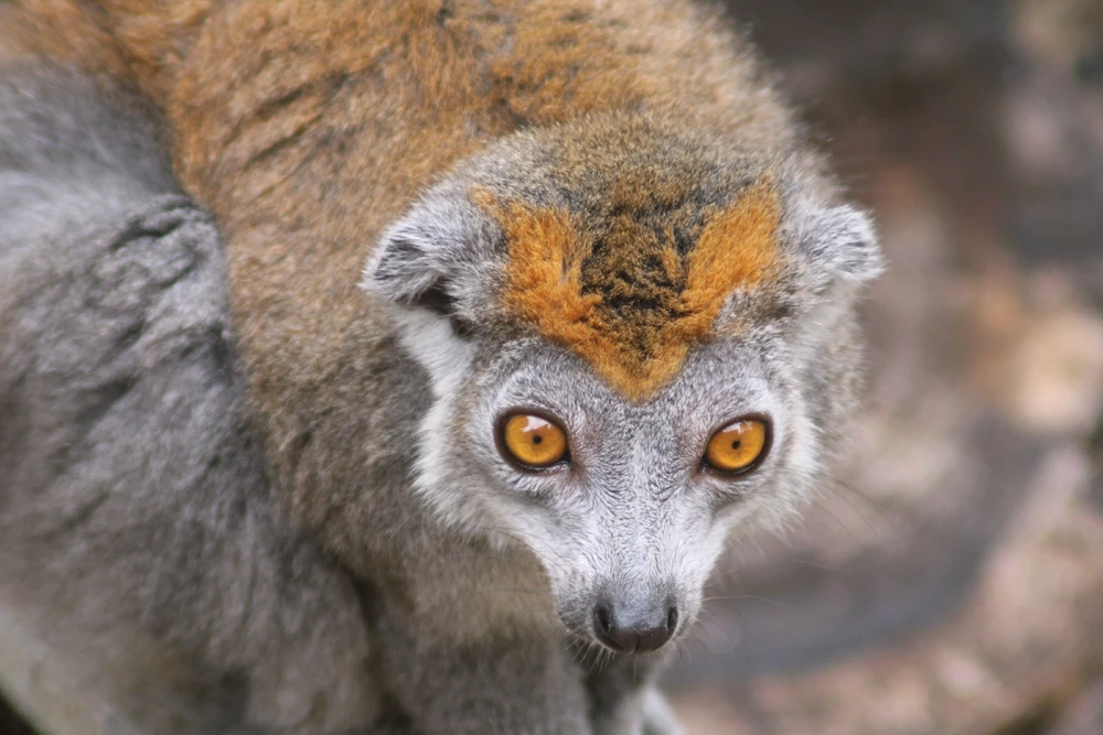 Image uploaded by Deke Smith