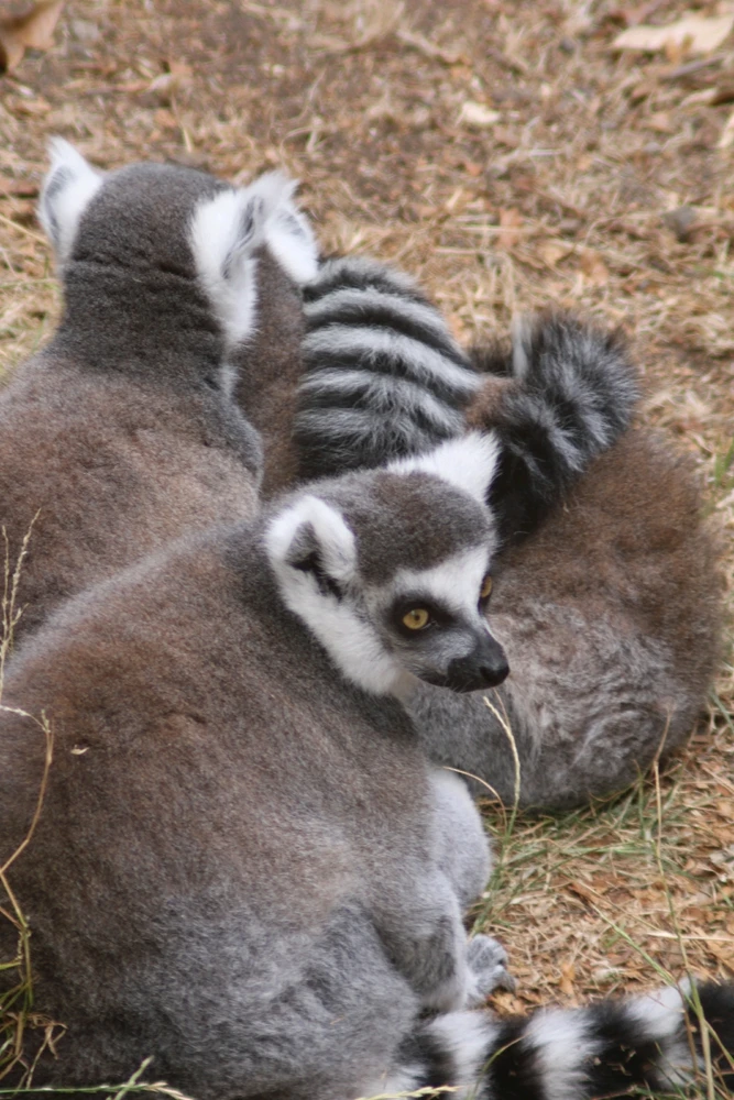 Image uploaded by Deke Smith