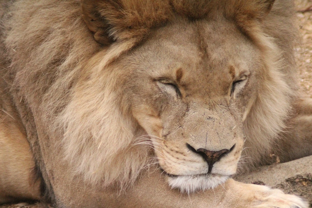 GIF uploaded by Deke Smith