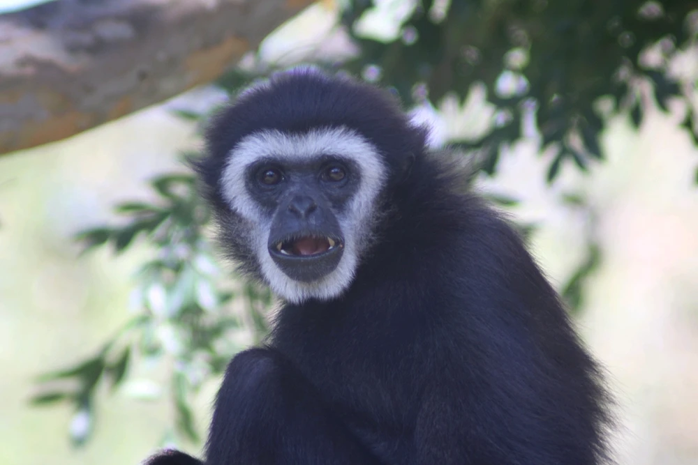 GIF uploaded by Deke Smith