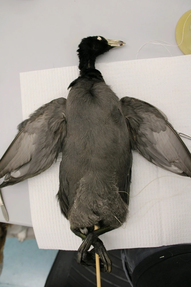 GIF uploaded by Deke Smith