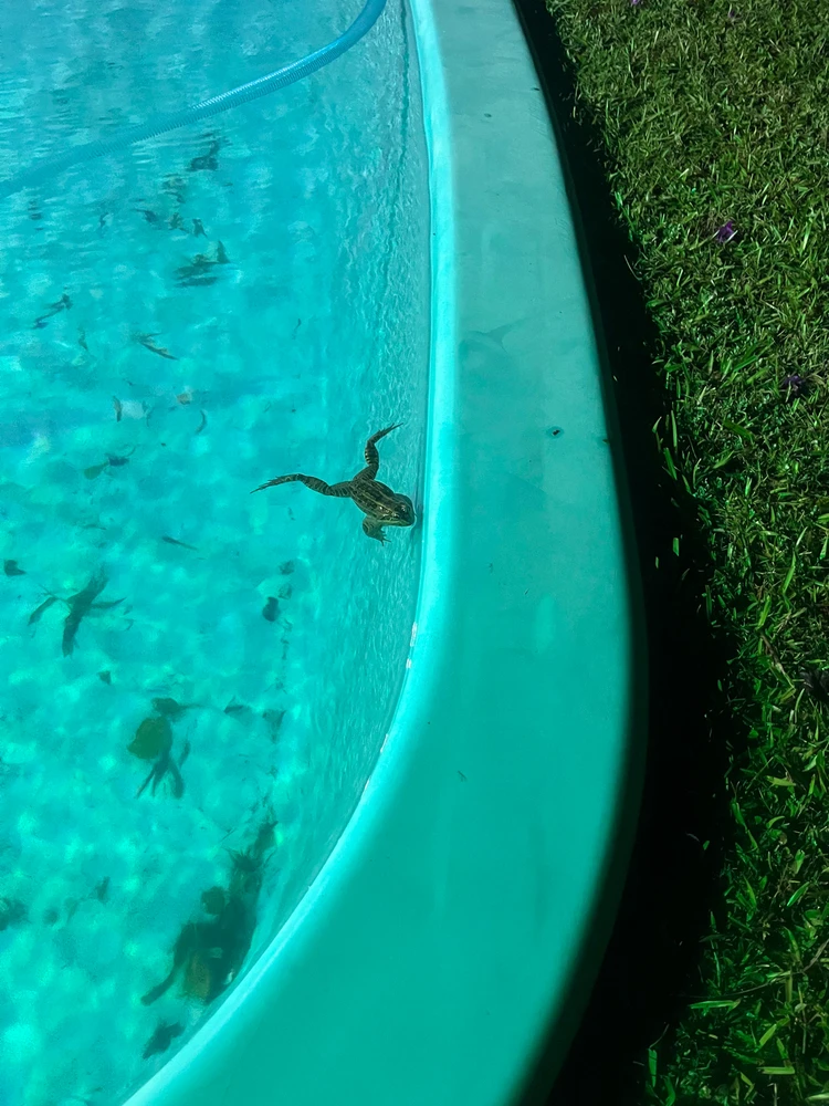 GIF enviado por Bernardo