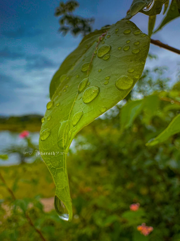 GIF diunggah dening BHARATH