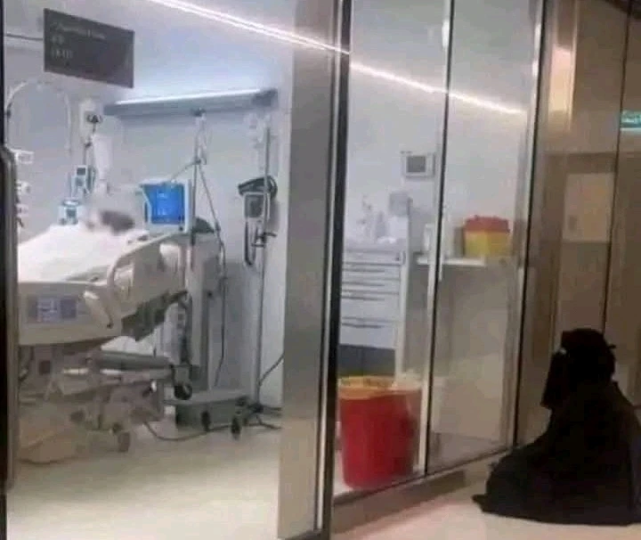 GIF uploaded by Fawad