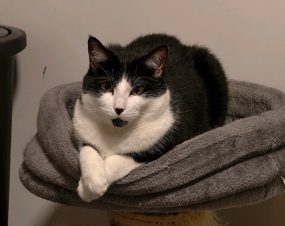 GIF uploaded by Dylan