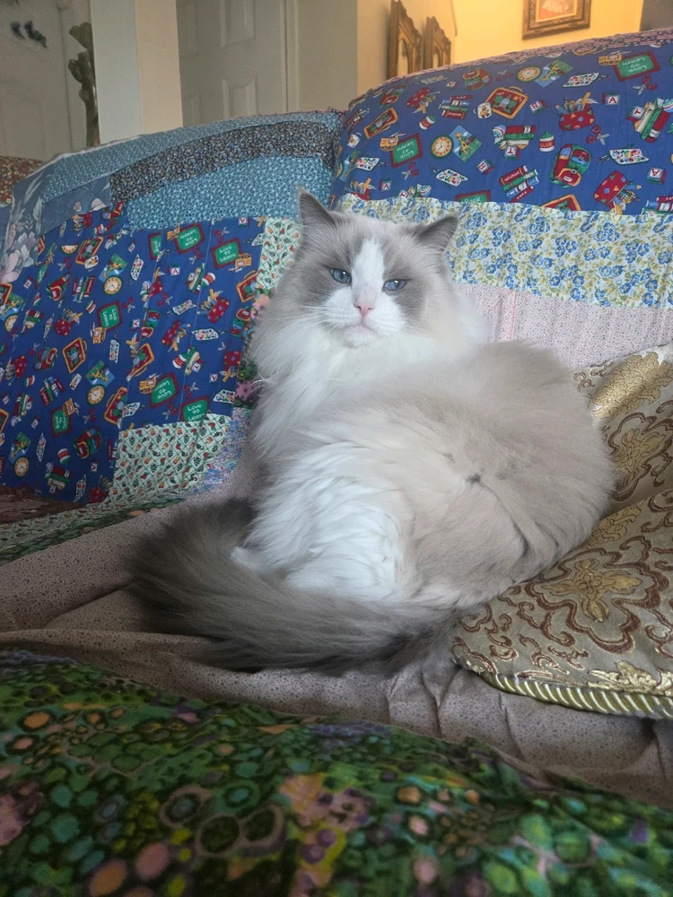 Image uploaded by Jason