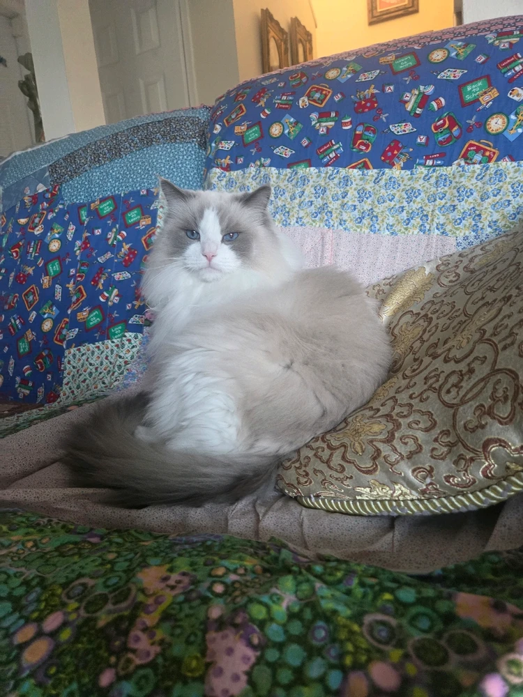 Image uploaded by Jason