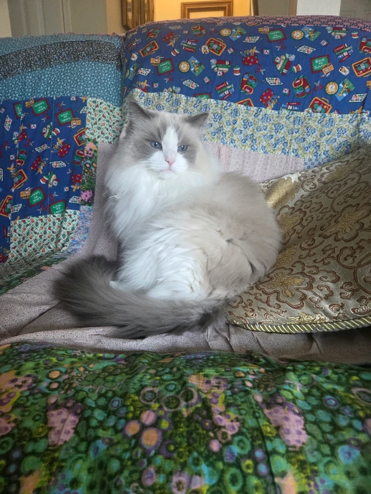 Image uploaded by Jason