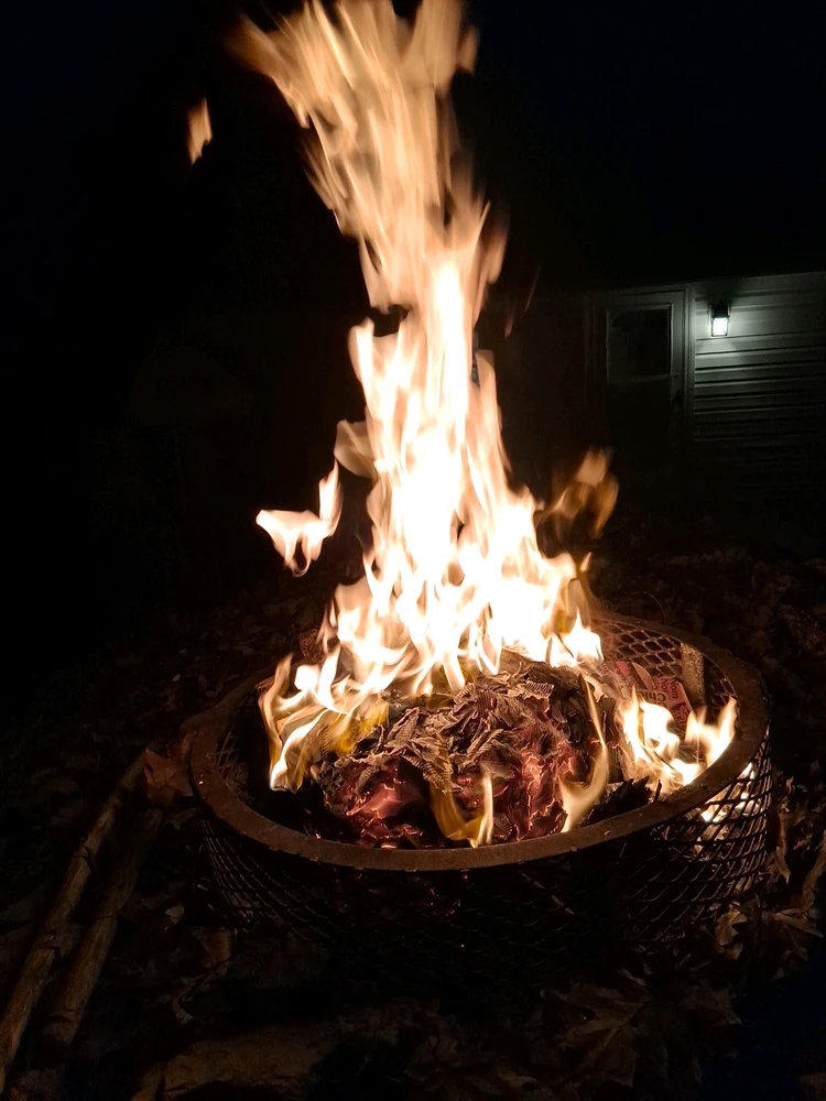 Image uploaded by BJ