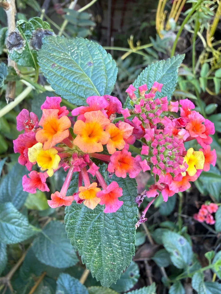 GIF uploaded by Gabriel