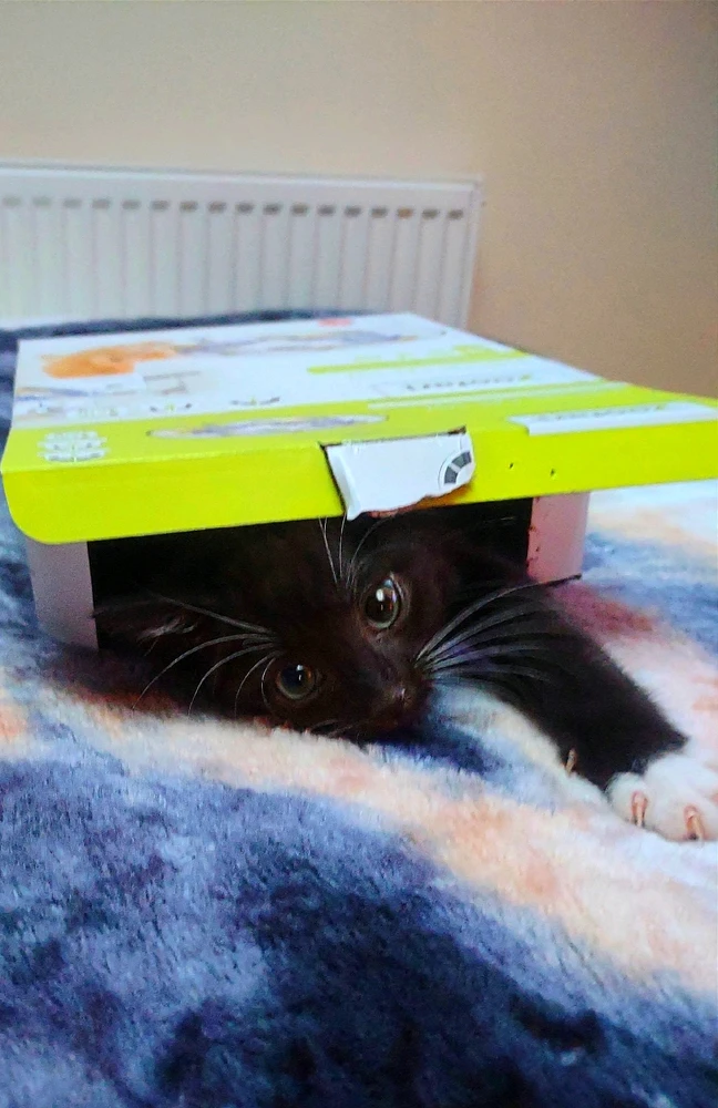 GIF uploaded by Andy