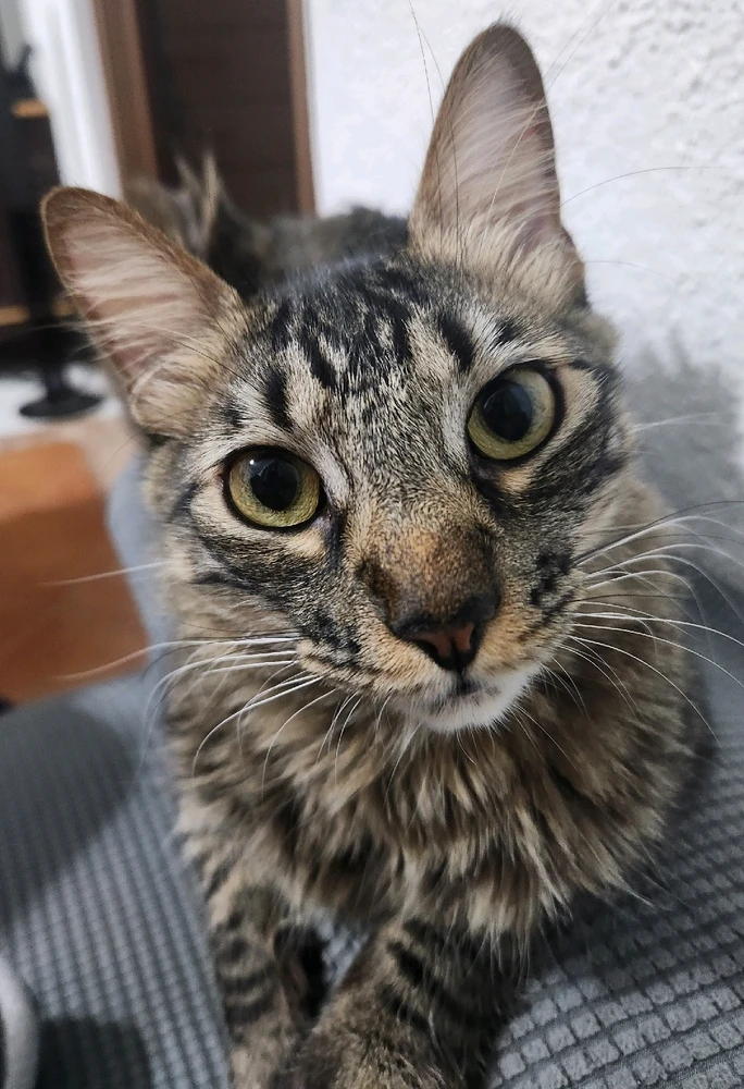 Image uploaded by Venice