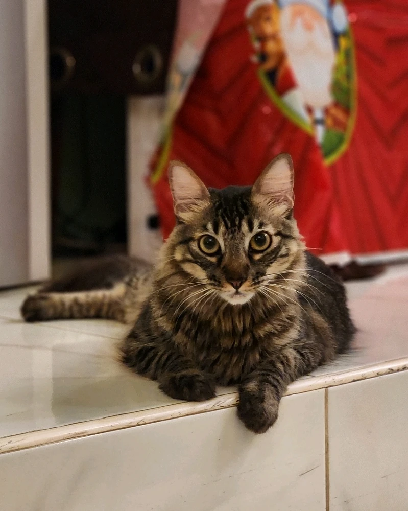 Image uploaded by Venice