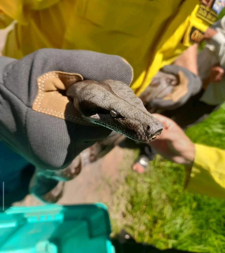 GIF uploaded by Julio