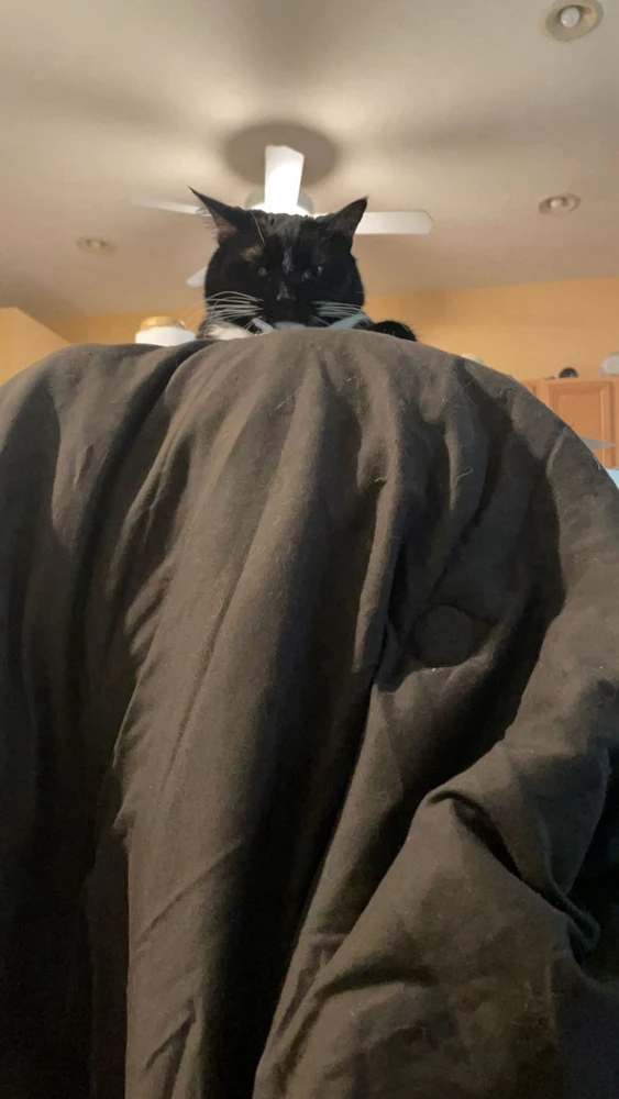 GIF uploaded by John