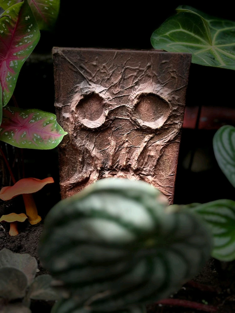 Image uploaded by Samir