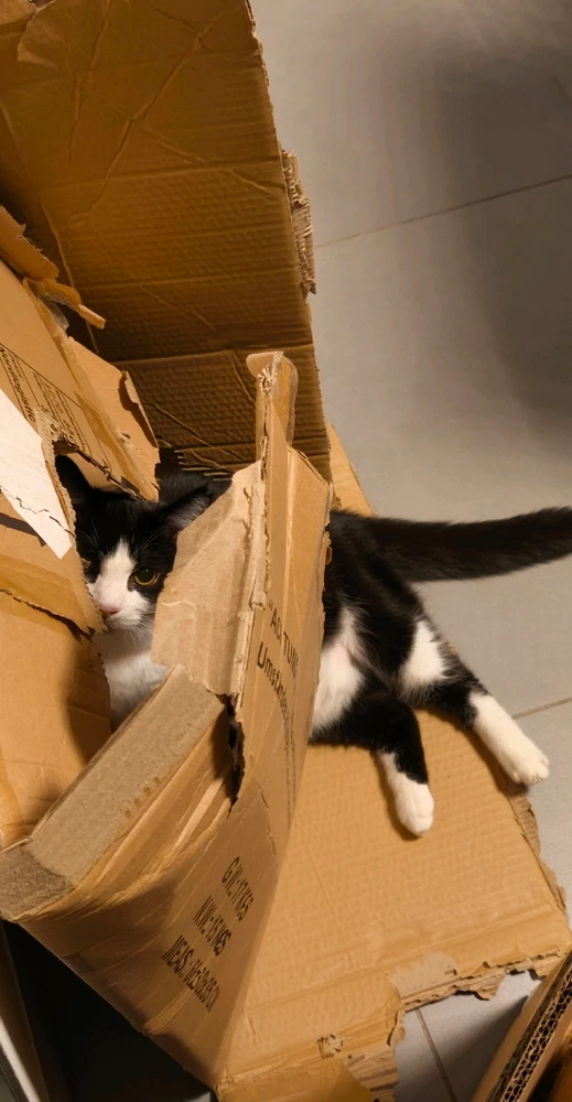 GIF hochgeladen von Andy