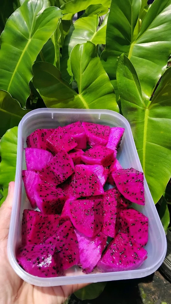 GIF uploaded by Decy