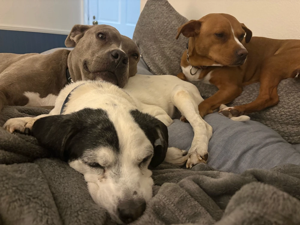 GIF uploaded by Sarah