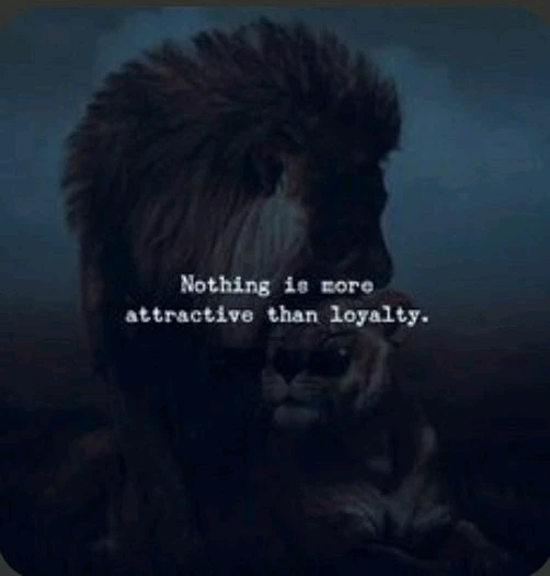 GIF uploaded by Rowe