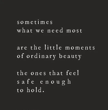 GIF uploaded by Tara