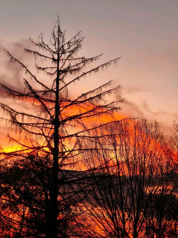 Image uploaded by Maria.