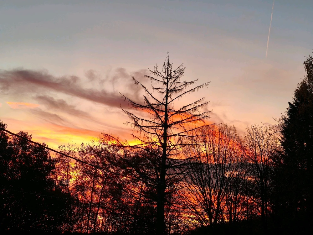 Image uploaded by Maria.