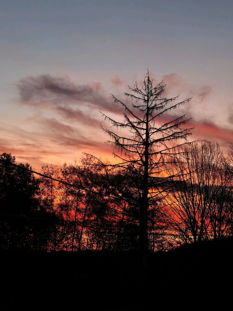 Image uploaded by Maria.